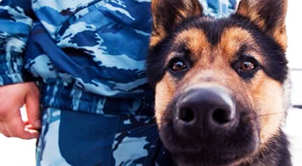 �� ������ ���������